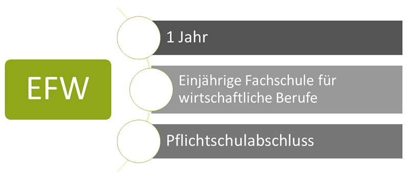 Einjährige Fachschule für wirtschaftliche Berufe