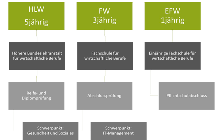 Schule für wirtschaftliche Berufe - Gesundheit & Soziales, IT-Management