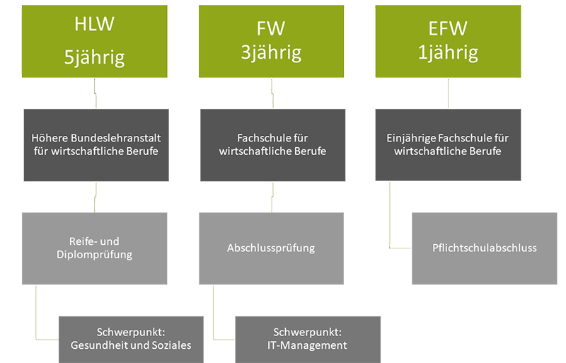 Wirtschaftliche Ausbildung